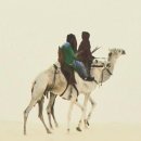 로버트개러지 이미지