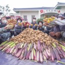 ㈜여행신화 이미지