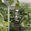 늘봄꽃화원 이미지