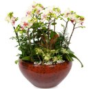 리플라워 이미지