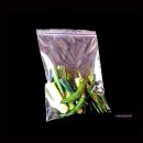 미미모텔 이미지