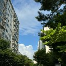흰 구름 몰