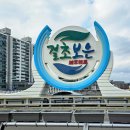 속리산 1박 2일 패키지 대추골 주민 여행사 후기 충북 보은 가볼만한곳