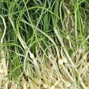 갑을상회 이미지