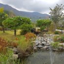 정선스테이 이미지