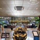 브라운핸즈 이미지