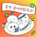 [공지] [모닝글로리 모꿈이 27기 합격 후기✒️] 높은 경쟁률을 뚫고 당당히 합격🔥 | 대외활동