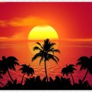 ANOTHER DOG 이미지