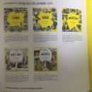 이솝우화플라워 이미지