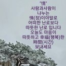 정(情) 이미지