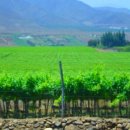 노스탈자 이미지