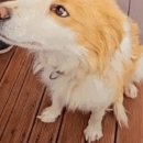 (주)메디플러스 이미지