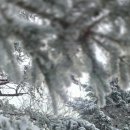 연인산풍경 | 가평 연인산 등산 후기｜블랙야크 100대 명산, 눈꽃·상고대 제대로 만난 날=]