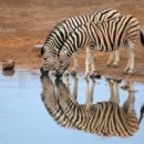 스마트프레쉬 이미지