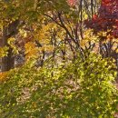 밀리터리카페(Military Cafe) | unscripted days (25.11. -2)