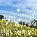 비치걸 이미지