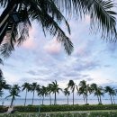 해변 | 베트남 푸꾸옥 노보텔 리조트 수영장 전용 해변 사용 후기