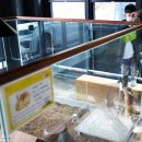 진주스토리 이미지