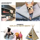 사치 - 포항시 북구 중앙상가2길 19-4 | 사치