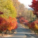 팔공산올레길 3코스 이미지