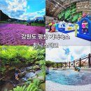 강원도 평창 휘닉스파크 리조트 빌라동 숙박 아이와 가족숙소