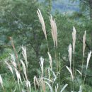 주은피시 이미지