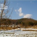 상주 금흔리 이부곡토성 Daum카페
