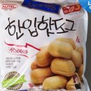한입핫도그