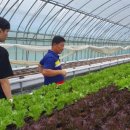 세종특별자치시농업기술센터 이미지