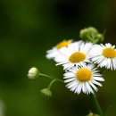 토산보건진료소 이미지