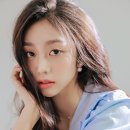 지수플라워 이미지