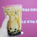 (주)아성다이소 대구대현점 | 동성로카페 홍이차 밀크티 전문점 마셔봄!