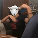 어서왈왈 | 붐(채은이머리날아가는소리)