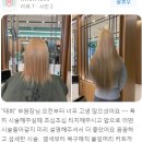 에드비 붙임머리 후기 모아보기