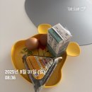 (주)모닝바이오 | 먹살의 식단일기 3주일차 | 탄수화물, 당에 대한 갈망 적당히 달래주는 중