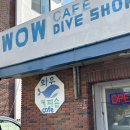 와우 숍(WOW Shop) 이미지