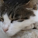 헬스닥터 이미지