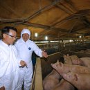 매월축산 이미지