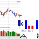 6월20일 밑꼬리의 의미 이미지