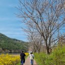 평화대여소 이미지