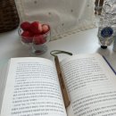 3,4월엔 어떤 꽃이 폈나요