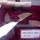 건강과성박물관 제주 이미지