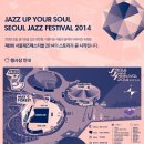 2014 서재페 후기 데미안 라이스 Damien Rice 공연 후기 (17일 1일차 서울재즈페스티벌 후기)
