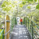 장척힐링 농촌체험마을 이미지