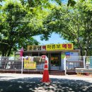 아빠의나무 야영장 | 운문댐 하류보 야영장 나들이 후기