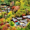 통일전관리사무소 이미지