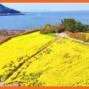 수성당 티스토리