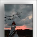 풍차와해넘이 이미지