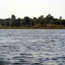 [저녁] 이집트전통벨리댄스 이미지