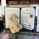효산한의원 이미지